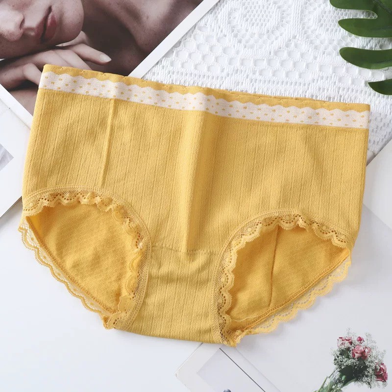 Quần Lót Nữ - Quần lót Nữ cotton dệt kim kháng khuẩn thiết kế phối cạp chấm bi DAN STORE MÃ 3800