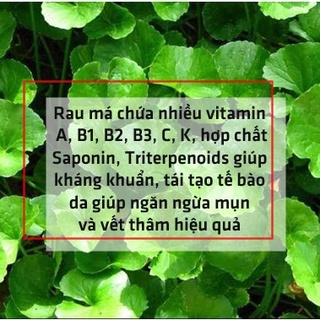 500gr Bột Rau Má Dưỡng Da Thâm Mụn