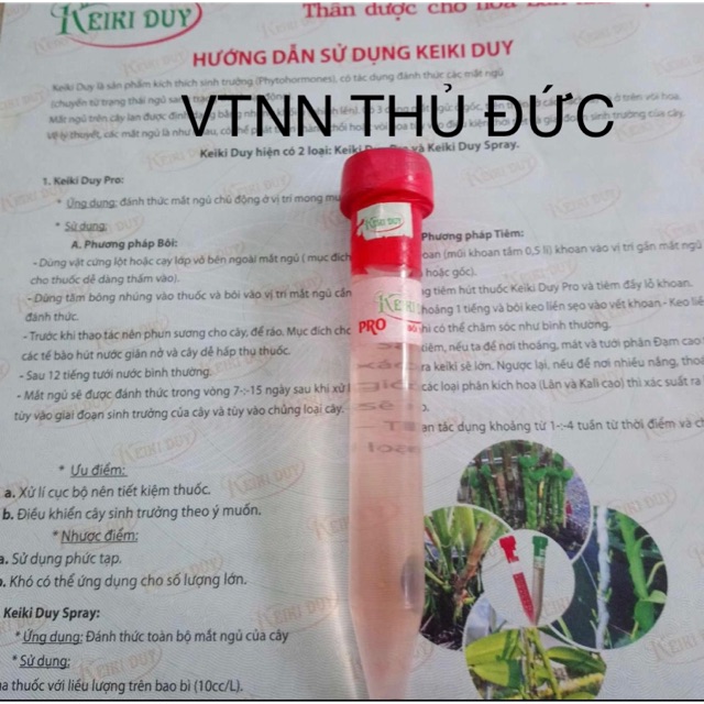 Kích ki duy đỏ