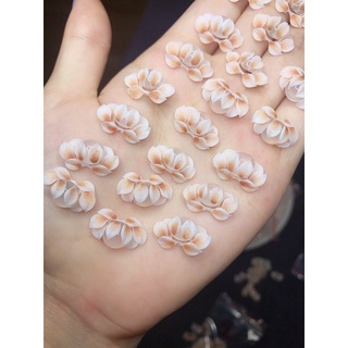 hoa bột mắt mèo - hoa bột nail