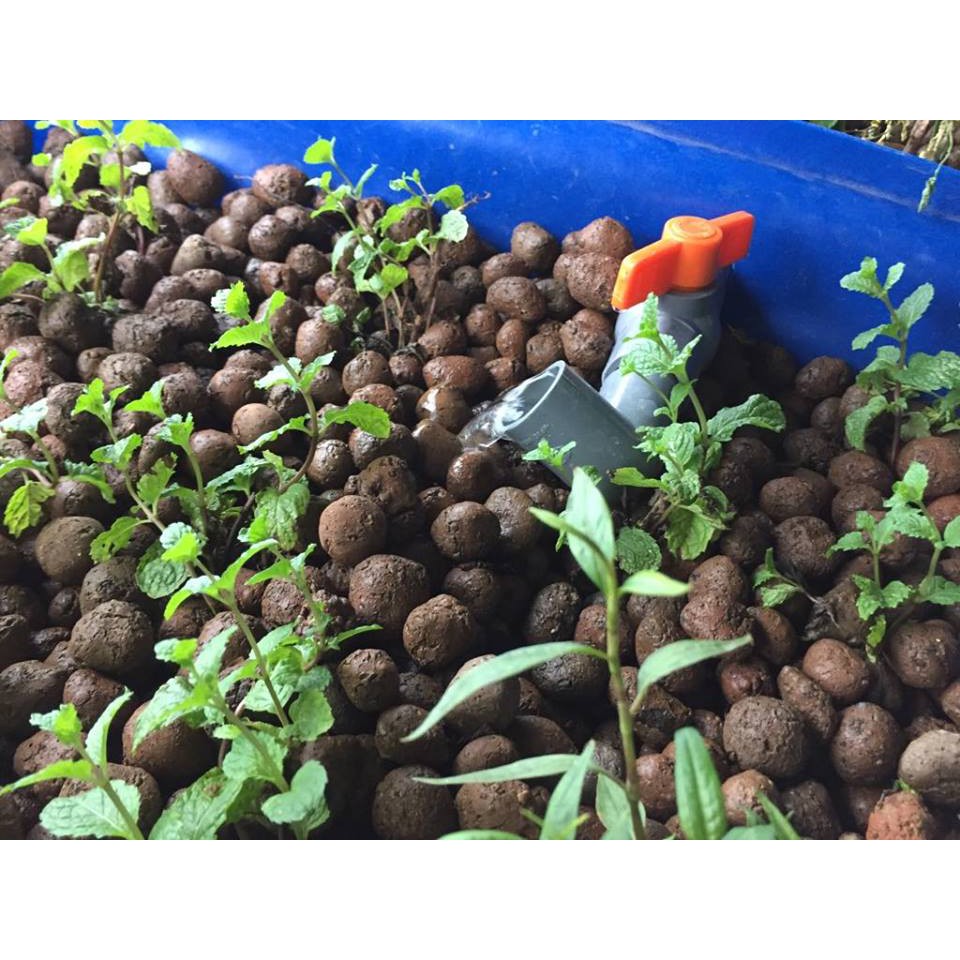 Đất nung Việt – sỏi nhẹ phủ bề mặt chậu, làm giá thể trồng cây gói 1.5kg (Vườn Sài Gòn - Vuon Sai Gon)