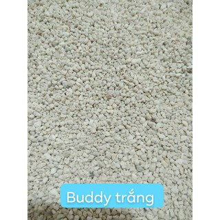 Cát lót chuồng hamster