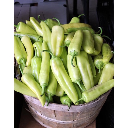 Hạt giống Ớt Chuối Ngọt (SWEET BANANA PEPPER) - 30 Hạt - Hạt nhập khẩu chọn lọc tỷ lệ nảy mầm 96%