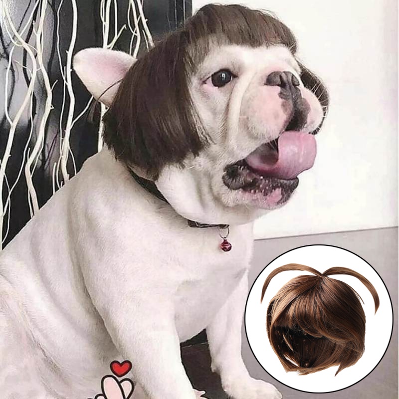 Bộ Tóc Giả Xoăn Nhiều Màu Dễ Thương Dành Cho Thú Cưng