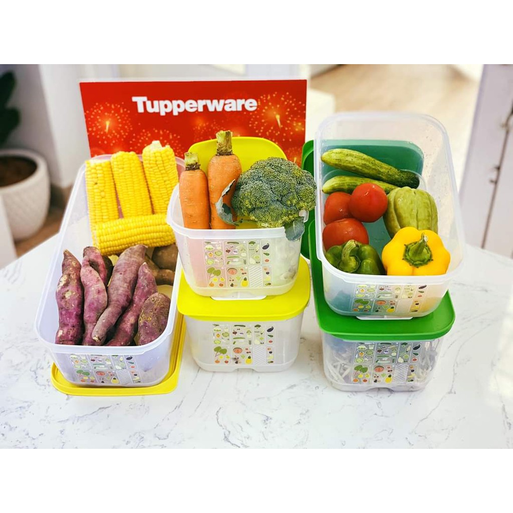 Bộ trữ mát có nút hô hấp cao cấp Ventsmart (5 hộp) - Tupperware