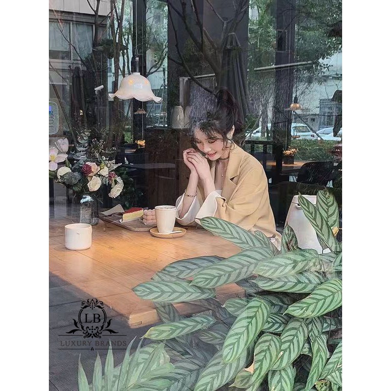 [CÓ SẴN] Áo khoác nữ dáng vest blazer chất đẹp dày dặn dáng basic một cúc trơn | BigBuy360 - bigbuy360.vn