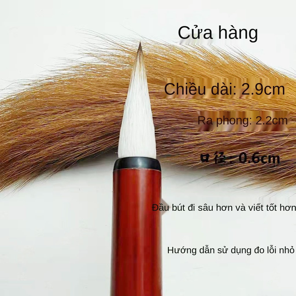Bút lông viết cao cấp lớn, trung bình và thường Jianhao Wolfhao, người lớn học tiểu học, mới bắt đầu, thư pháp thực