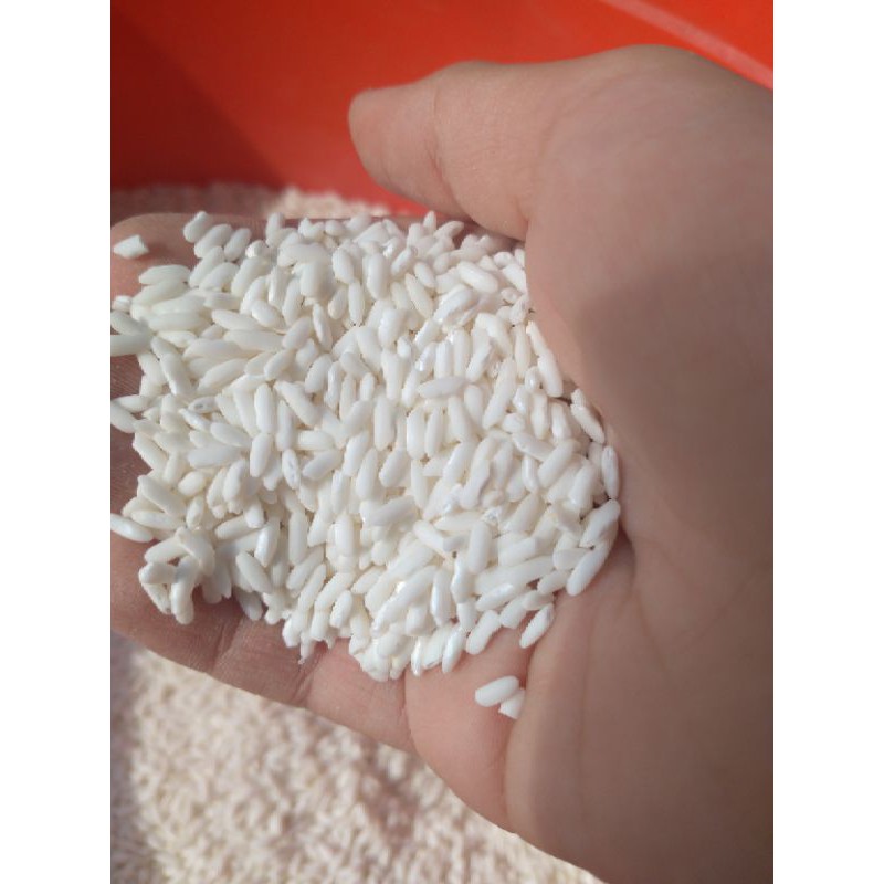 Gạo Nếp Sáp - Nếp Ngỗng