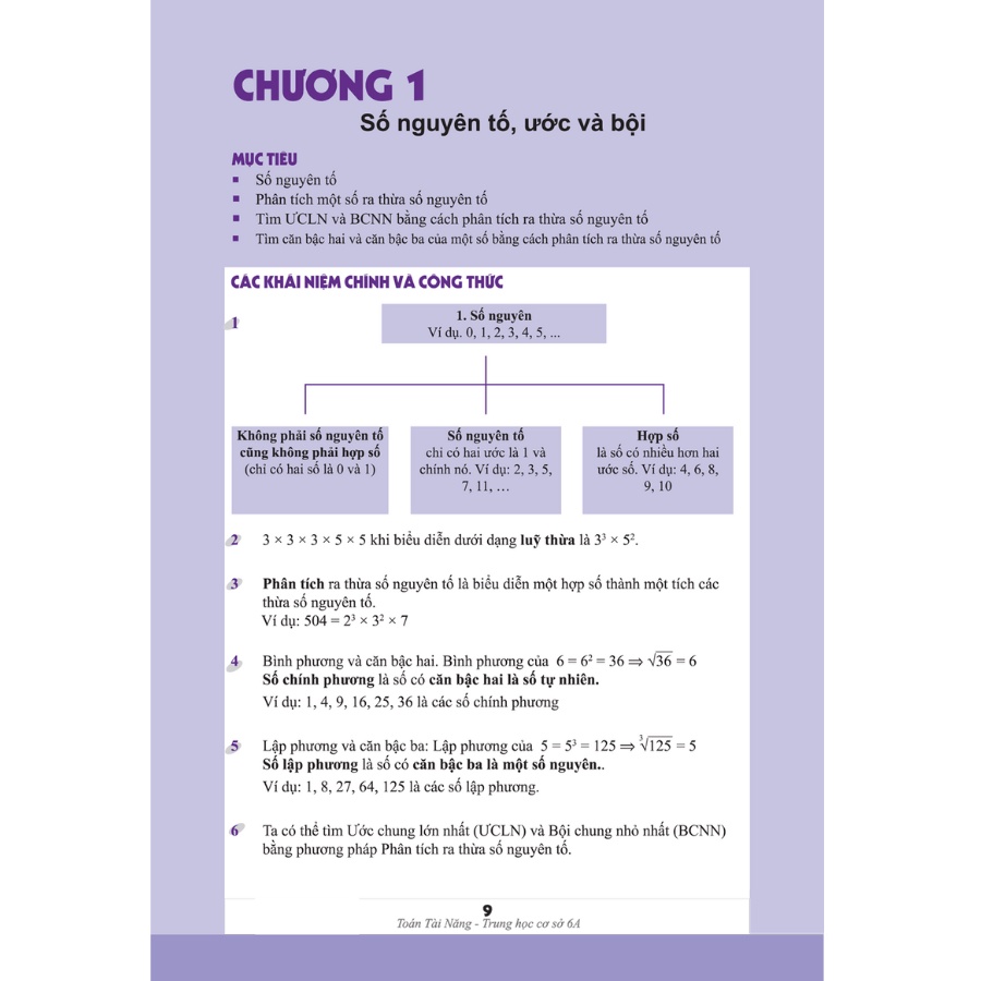 Sách - Toán Học Singapore - Toán Tài Năng - Từng Bước Chinh Phục Toán Học - Tập 6A (ĐẠI SỐ)