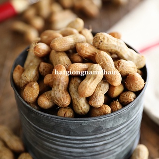 10 GRAM - HẠT GIỐNG ĐẬU PHỘNG