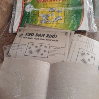 Combo 20 miếng  bẫy chuột