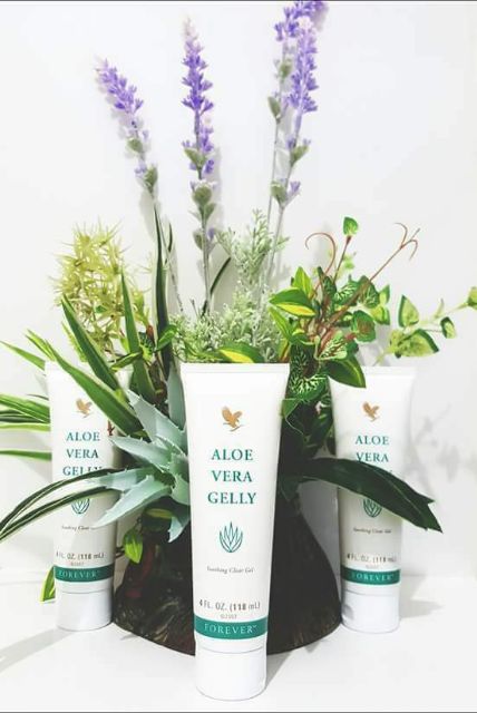 [THƯƠNG LƯỢNG GIÁ] Aloe Vera Gelly lành mụn