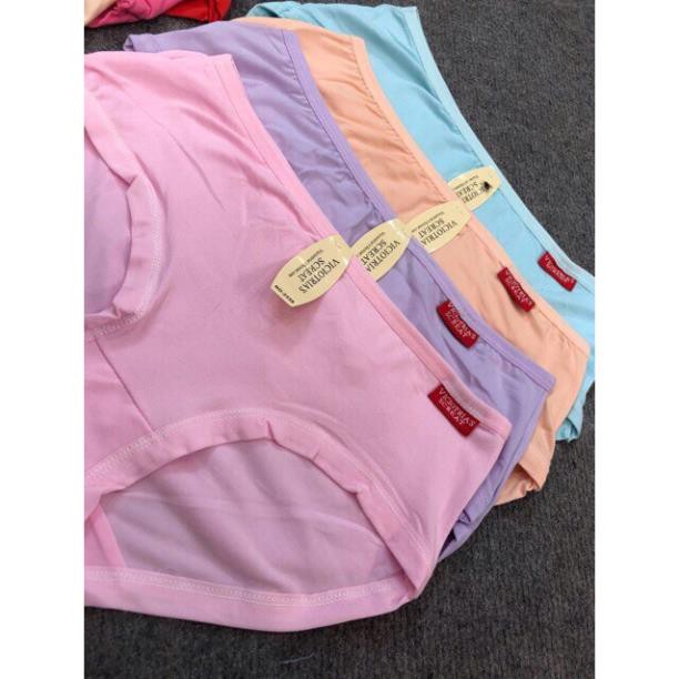 Quần Lót Cotton Trơn 2339,