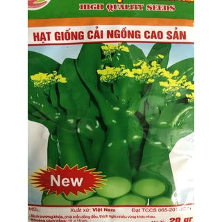 Hạt giống cải ngồng 20 gr ☘️
