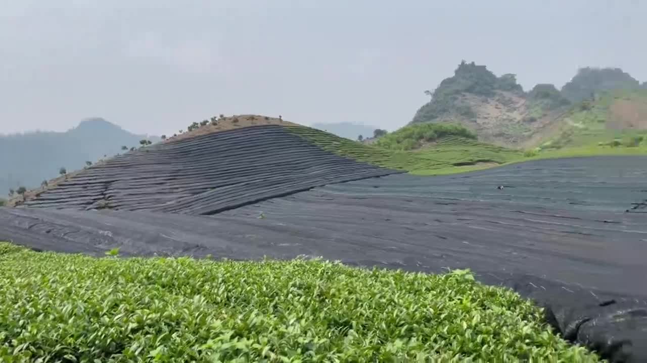[Organic] Bột Trà Xanh Fuji Matcha Nguyên Chất Vụ Xuân Pha Đồ Uống, Đắp Mặt, Trắng Da 100g/30g | BigBuy360 - bigbuy360.vn
