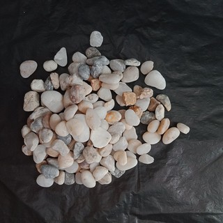 sỏi Size To (  cỡ đầu ngón tay) trang trí chậu cây, vườn