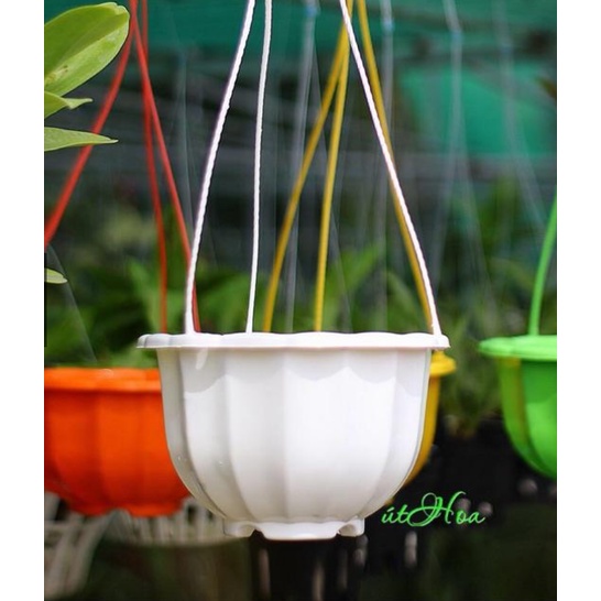 COMBO 10 CHẬU BÍ NHỰA TRỒNG HOA CÂY CẢNH