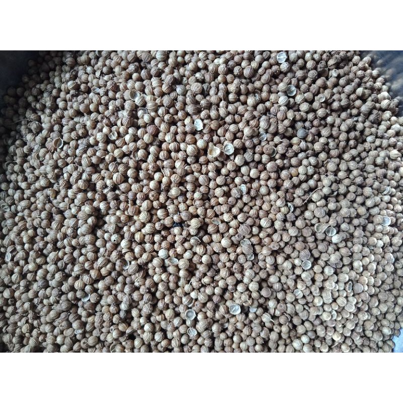 Hạt Ngò Rí 100gr