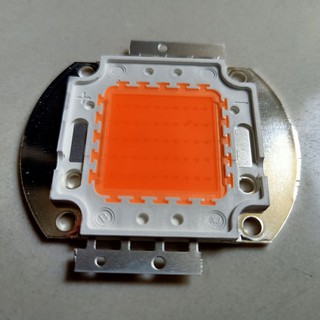 Epileds chip led 50w - cây trồng
