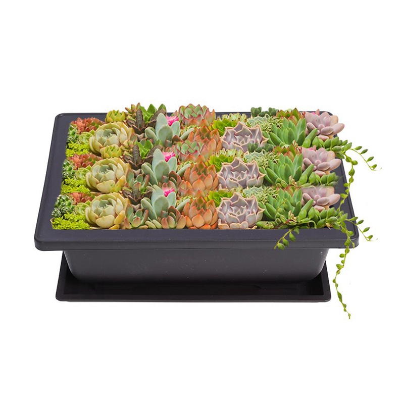 Bộ 6 Chậu Nhựa Trồng Cây Bonsai Kích Thước 22.5X16.5cm Tiện Dụng Cho Sân Vườn