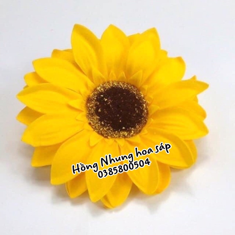 Hộp hoa hướng dương sáp 50 bông