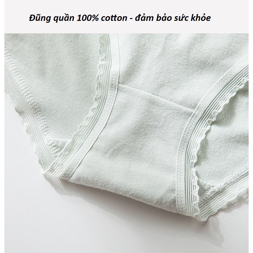 Quần Lót Nữ Cotton Mịn Thấm Hút Mồ Hôi Thoáng Khí Mỏng Mát Dễ Thương Tingweiya P388