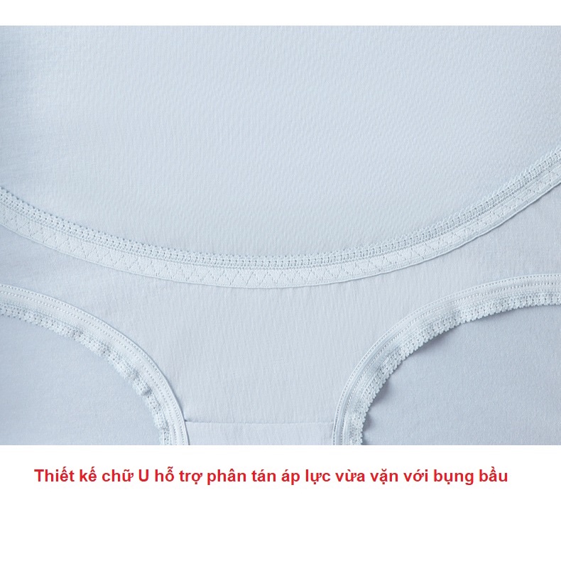 Quần lót bầu cạp cao cotton kháng khuẩn thông hơi cao cấp bigsize nâng đỡ bụng an toàn cho bà bầu QLB86130