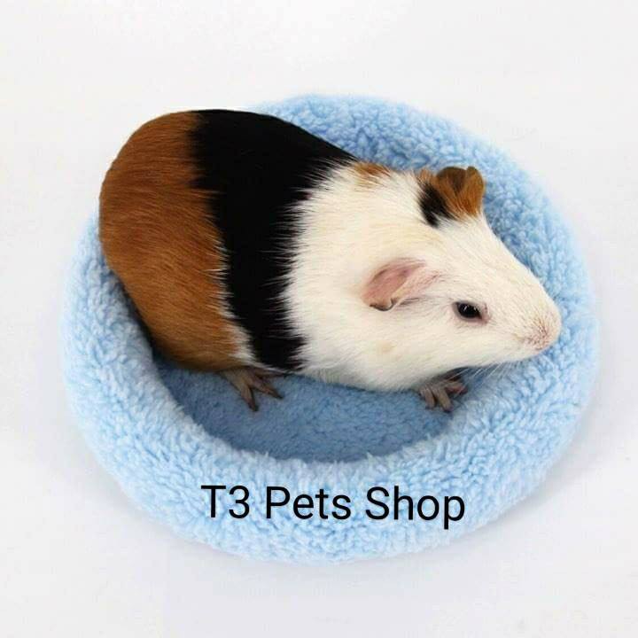 Nệm tròn êm ấm dành cho cho sóc, thỏ và bọ