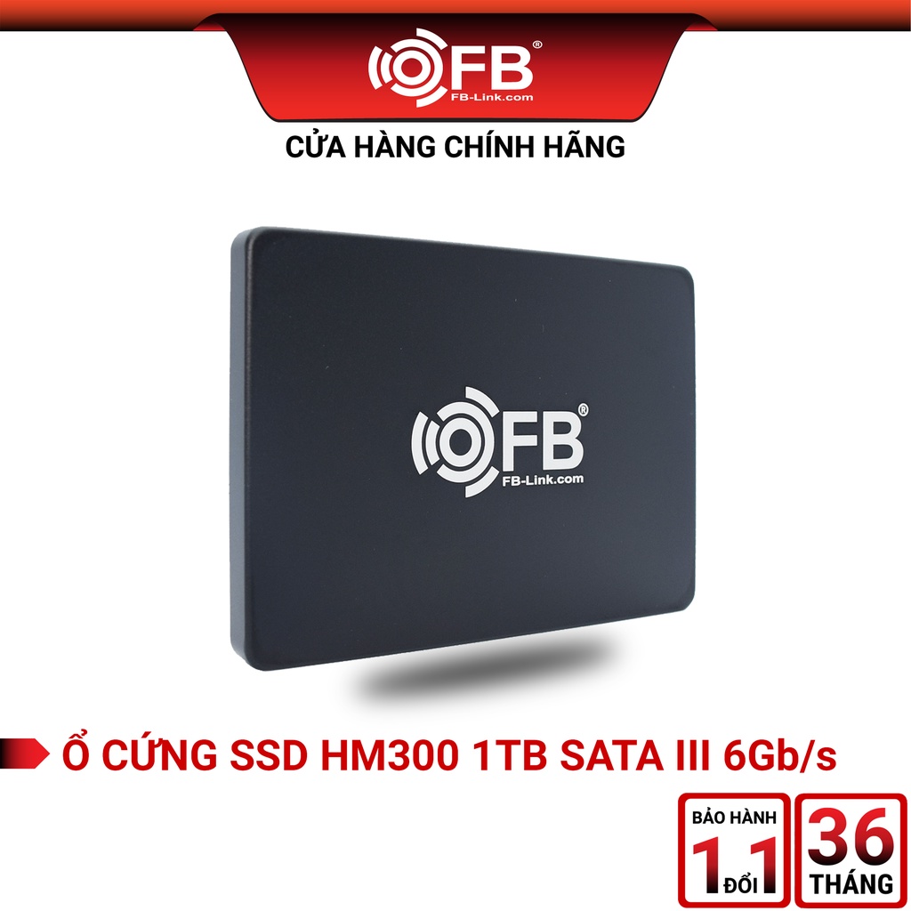 Ổ Cứng SSD 1TB FB-LINK HM300 SATA III 2.5 (6Gb s) I Bảo hành 36 thumbnail