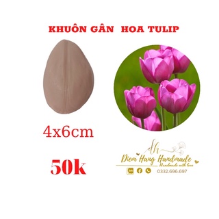 Khuôn gân hoa tulip