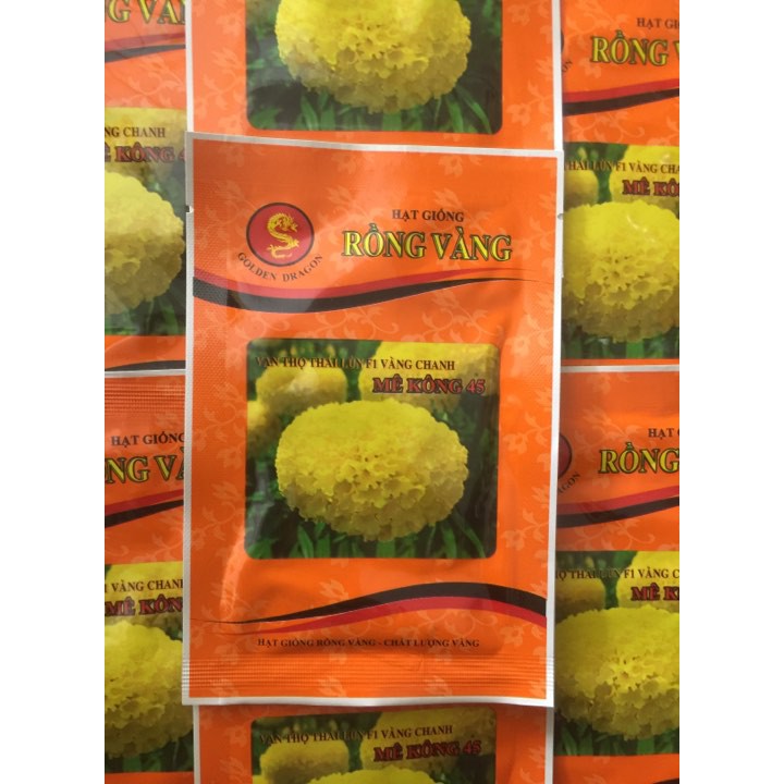 Hạt giống vạn thọ Thái lùn F1 RV45 - vàng chanh