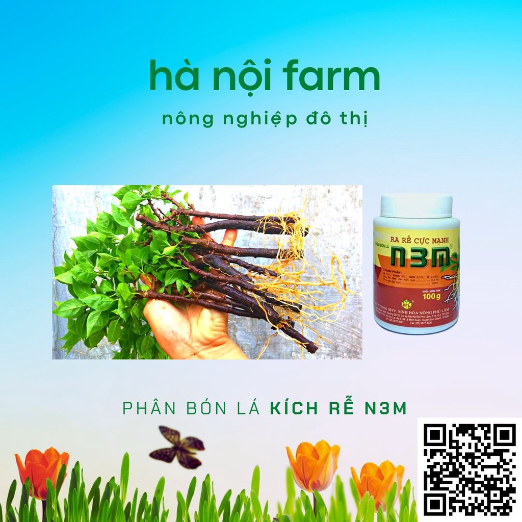 N3M kích ra rễ dạng bột,Kích thích ra rễ cực mạnh- kích thích ra rễ, nảy mầm…- hũ100g