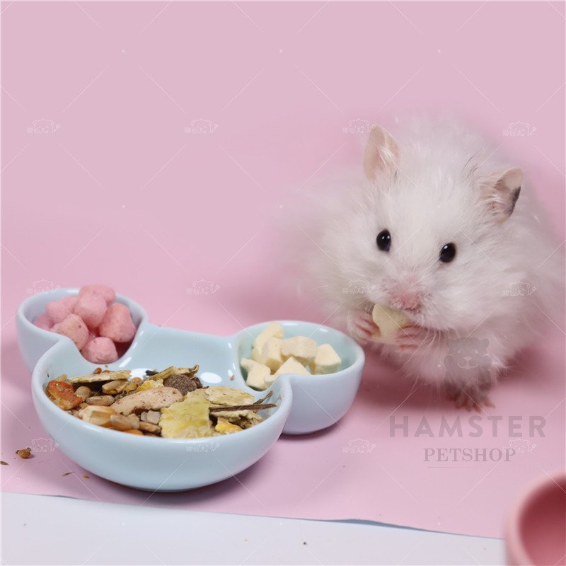 Bát ăn cho Hamster hình gấu