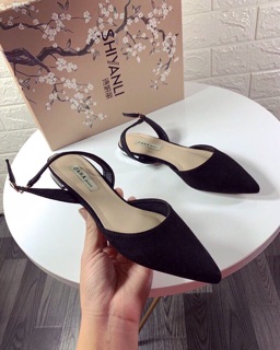 Bệt basic
