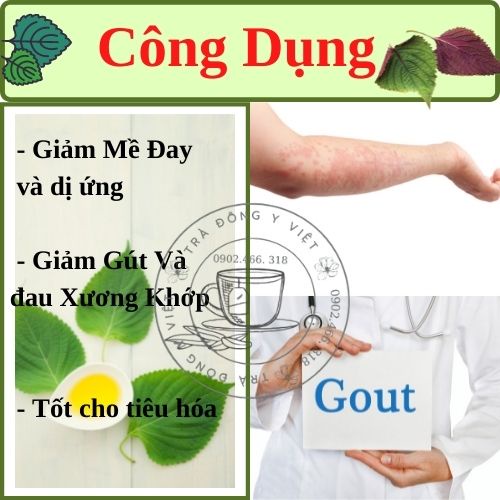 Trà Tía Tô -Giảm Nám, Đẹp Da, Giảm Cảm, 40 Túi lọc, Trà tự nhiên 100%