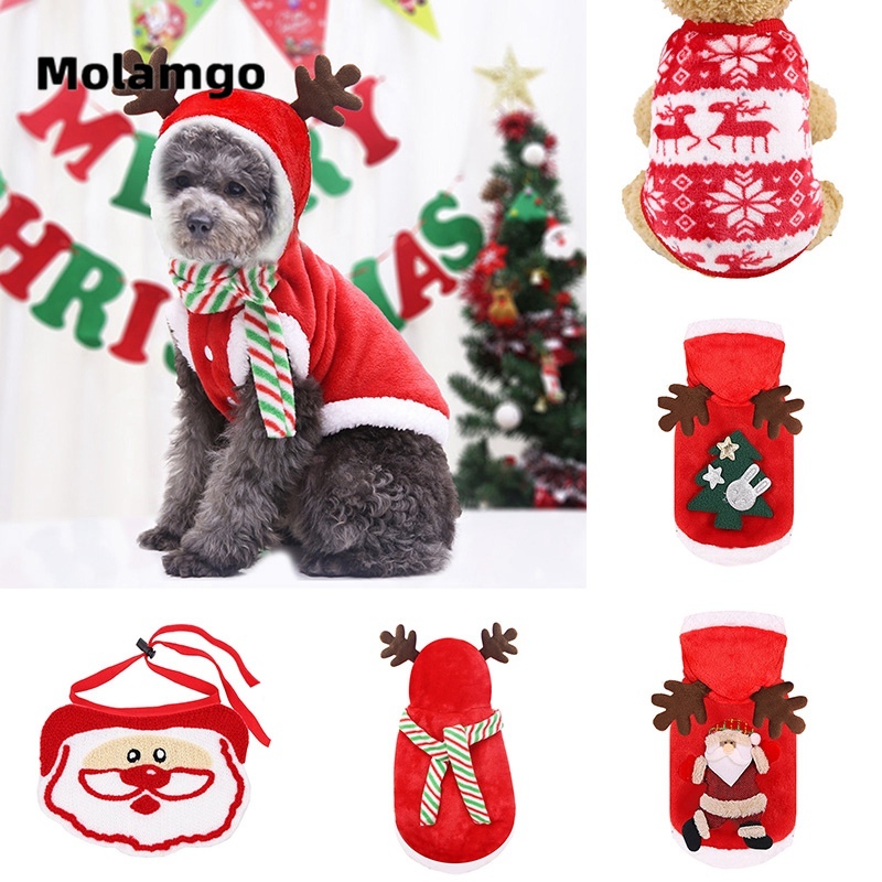 Trang phục Giáng Sinh dễ thương cho thú cưng
