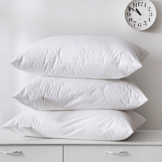 Ruột gối ôm 35x100cm - ruột gối nằm 50x70cm - ruột chăn dày , vừa cotton poly
