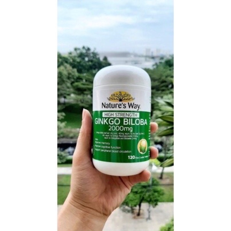 Viên Uống Bổ Não, Tăng Cường Trí Nhớ High Strength Ginkgo Biloba Nature's Way 2000mg
