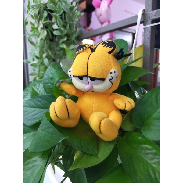 Gấu nhí size 10 - 15cm, hàng kiện Nhật, Hàn đồng giá 20k🥰🥰🥰