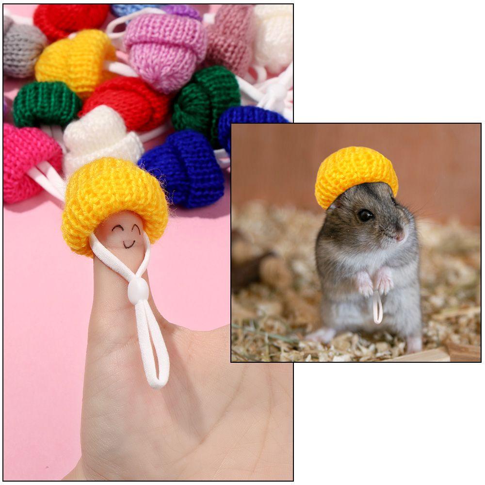 LAYOR1 2PCS Pet Hats Cosplay Coats Dressing Up Dress Up Dog Socks