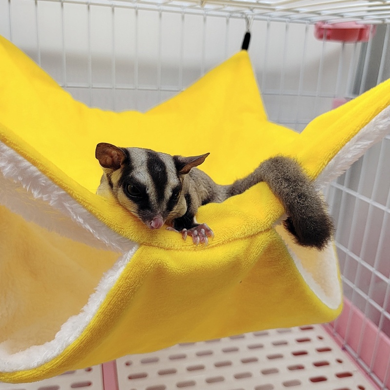 Túi Ngủ Bằng Vải Bông Ấm Áp Treo Chuồng Cho Chuột Hamster