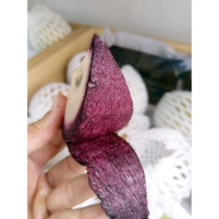 Cây Vú sữa mica