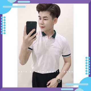 Áo Polo nam cổ bẻ phối vải cá sấu Cotton xuất xịn,chuẩn form,sang trọng-lịch lãm