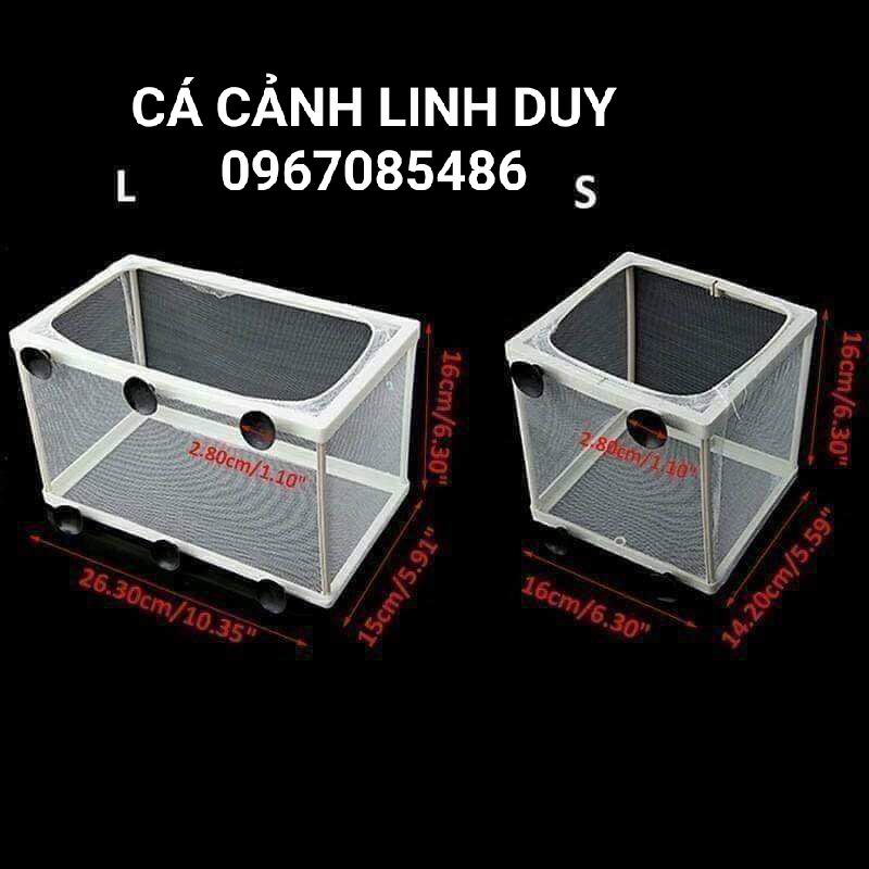 Lồng Đẻ Lồng Dưỡng Cá Boyu size nhỏ và lớn