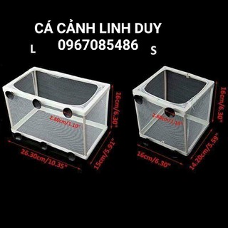 Lồng Đẻ Lồng Dưỡng Cá Boyu size nhỏ và lớn