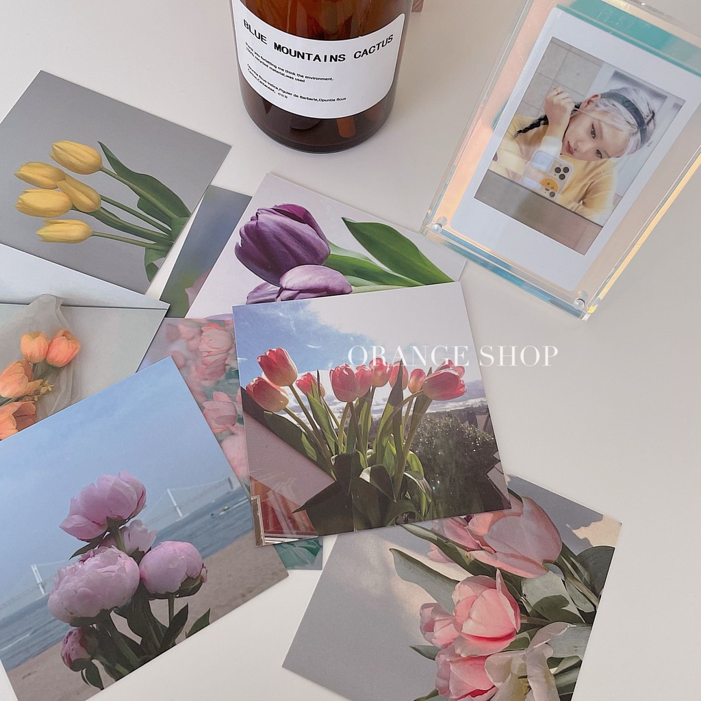 Ảnh trang trí dán tường hình decor vintage aesthetic retro set postcard bưu thiếp tranh giấy treo phòng học bàn học