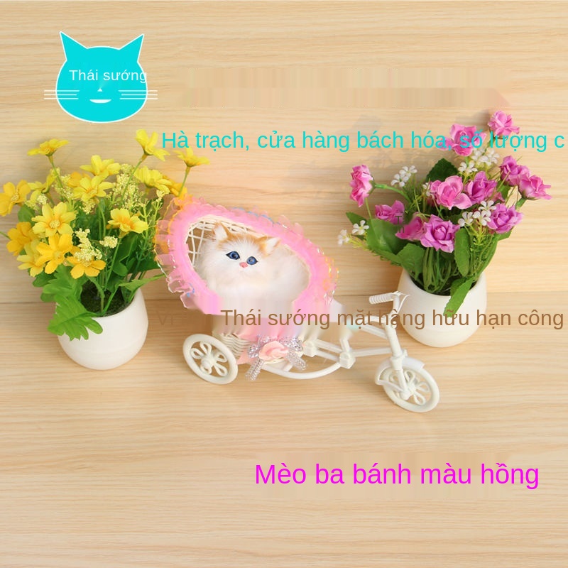 ┅Bán hàng trực tiếp tại nhà máy sẽ được gọi là xe ba bánh kitty lông thú mô phỏng đồ trang sức trí sinh nhật quà tặng ch