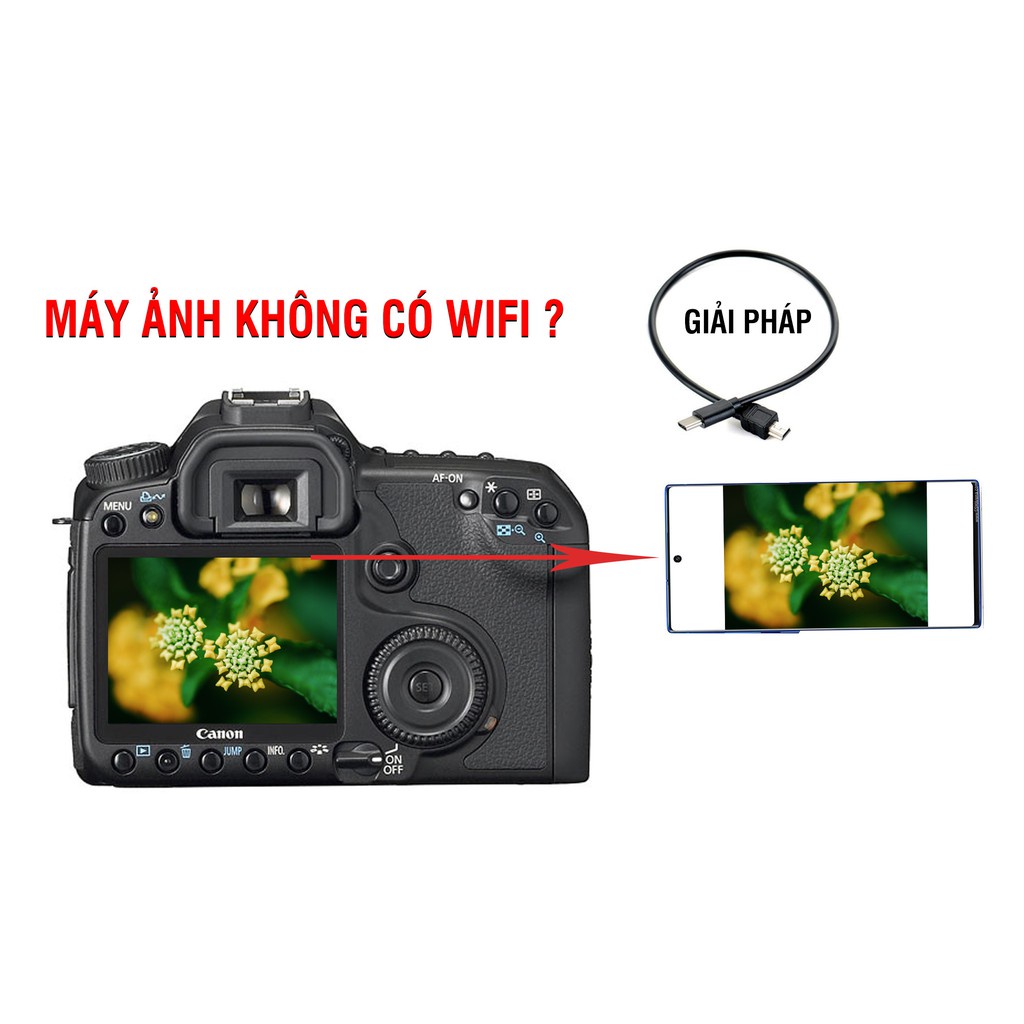 sao chép ảnh từ máy ảnh Canon, Nikon sang điện thoại Android, Laptop có cổng Type C