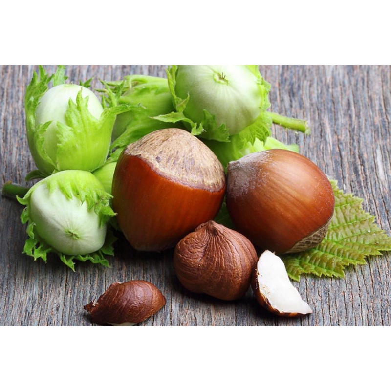 Nhân Hạt phỉ nhập Mỹ 500Gr