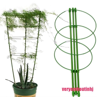 Khung Hỗ Trợ Cây Leo 60cm Tiện Lợi Dành Cho Vườn Nhà